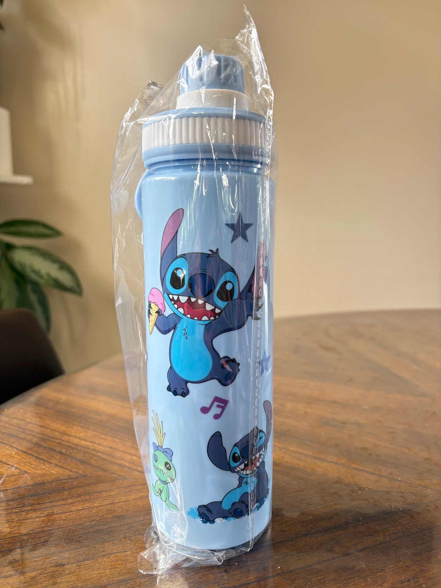500 ML Kids Water Bottle